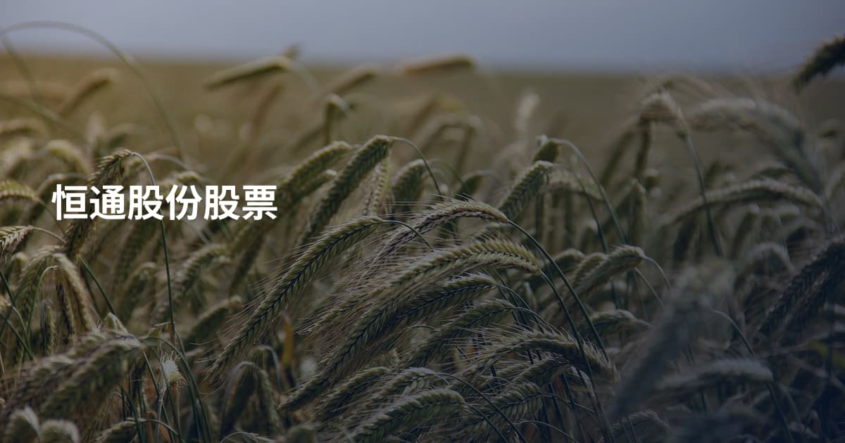 恒通股份股票