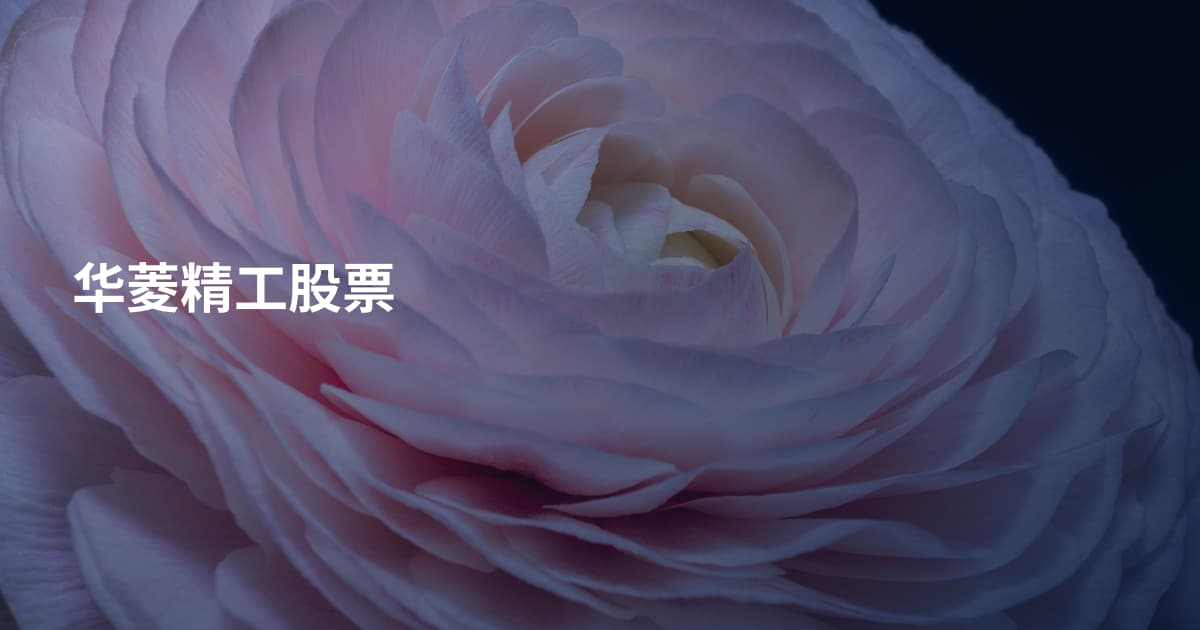 华菱精工股票