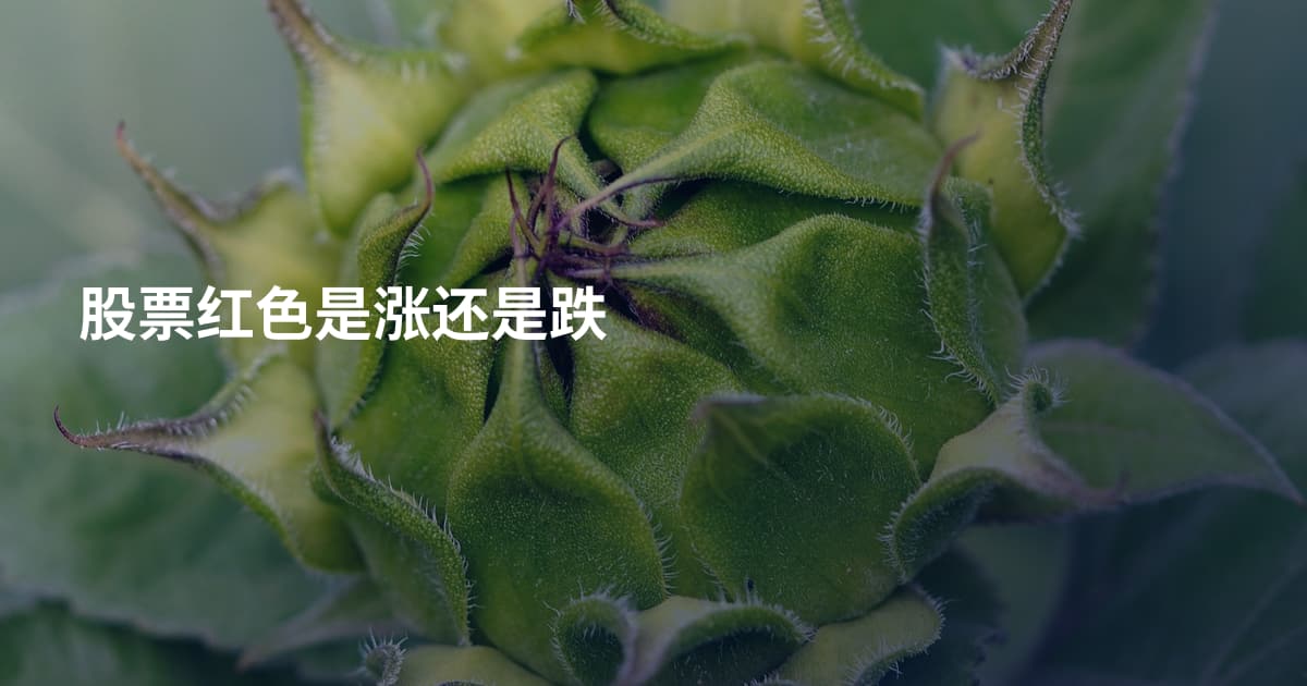 股票红色是涨还是跌