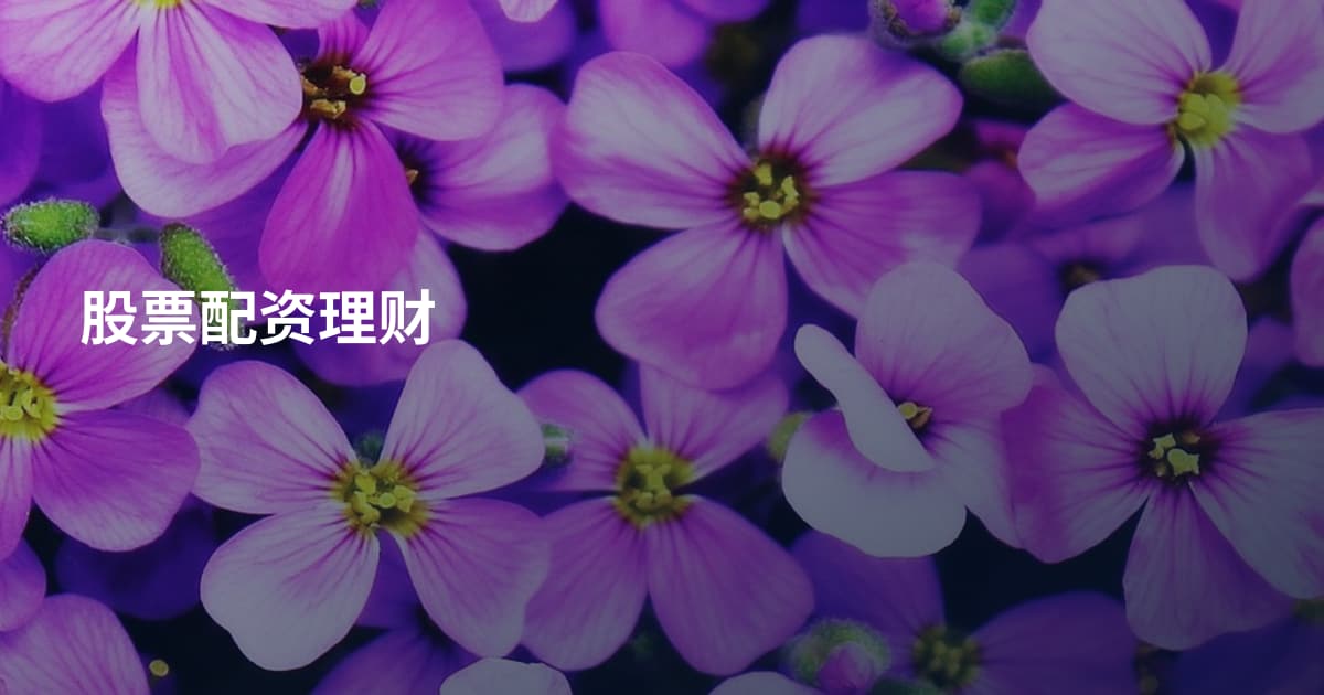股票配资理财