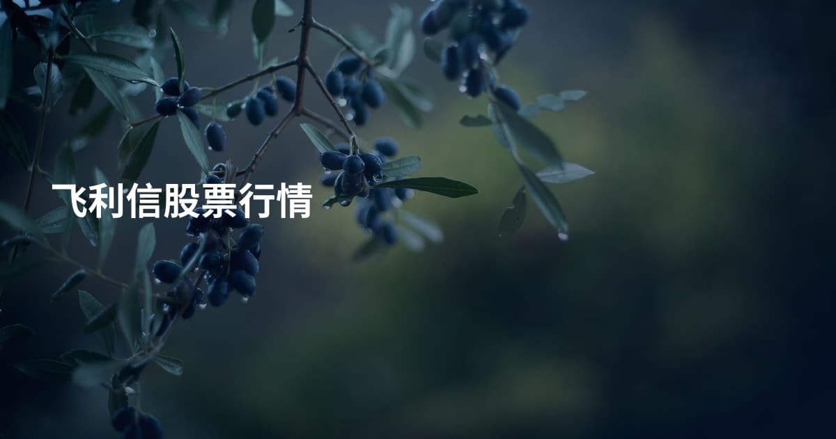 飞利信股票行情