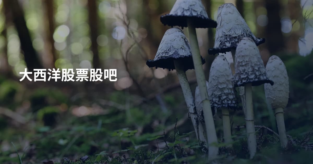 大西洋股票股吧
