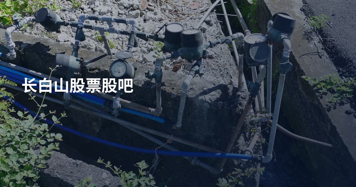 长白山股票股吧