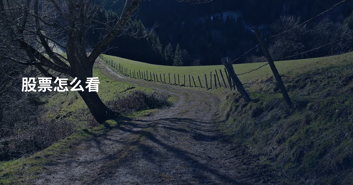 股票怎么看