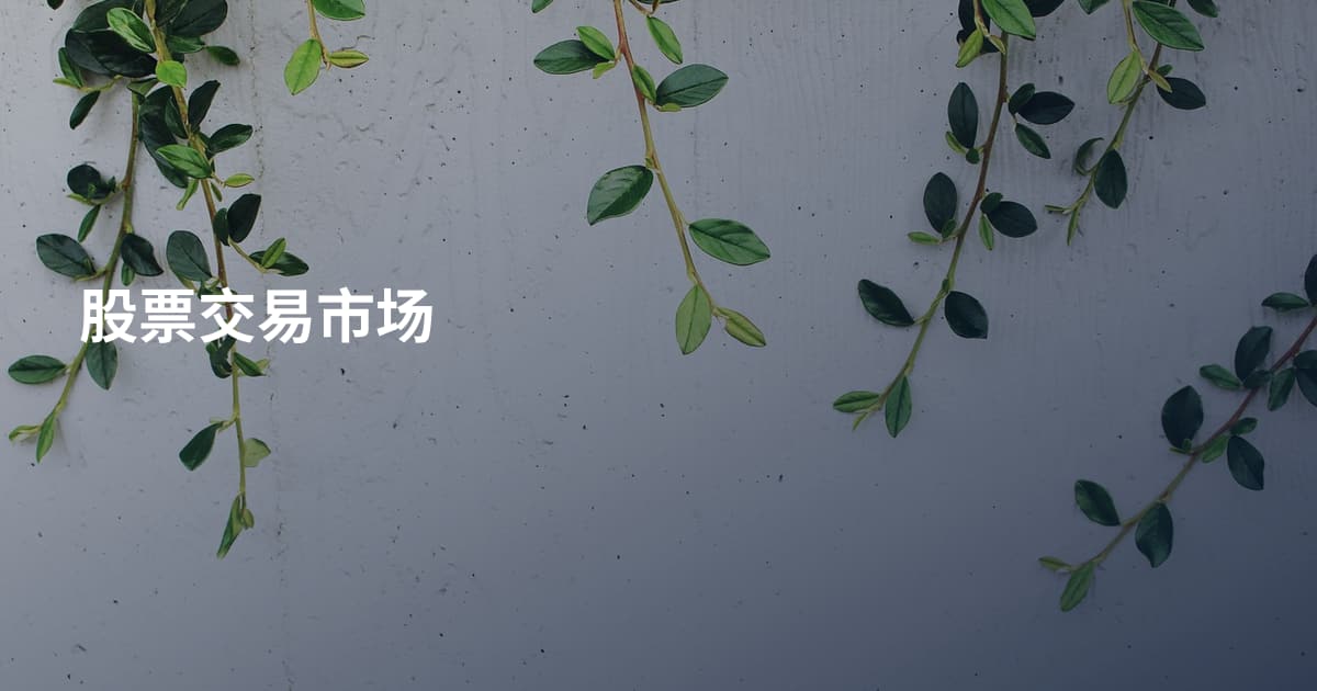 股票交易市场