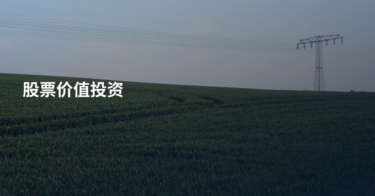 股票价值投资