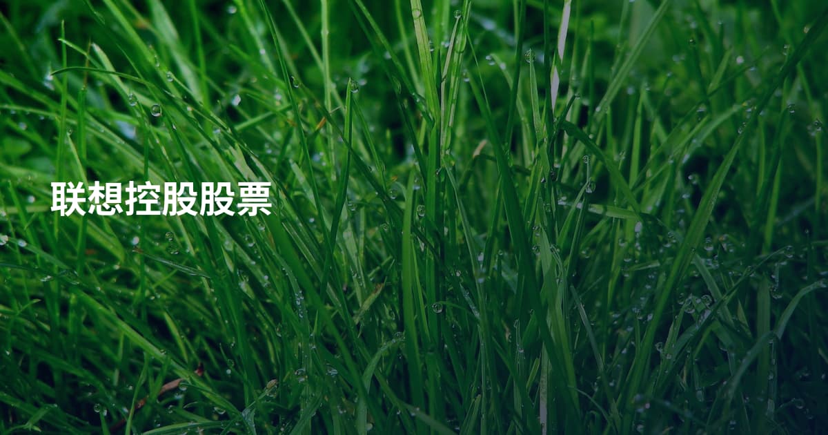 联想控股股票