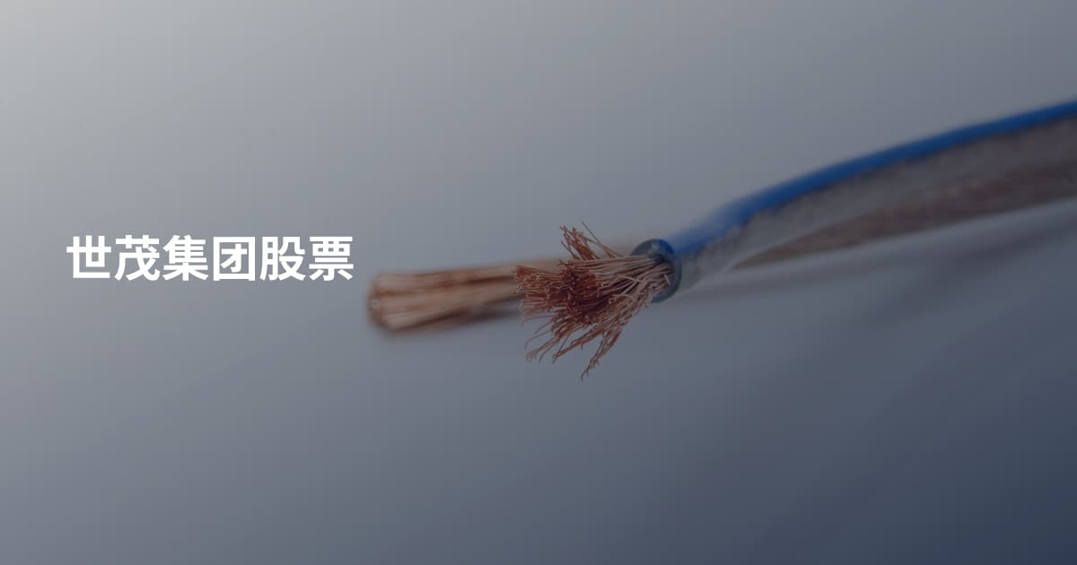 世茂集团股票