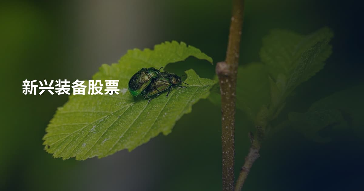 新兴装备股票