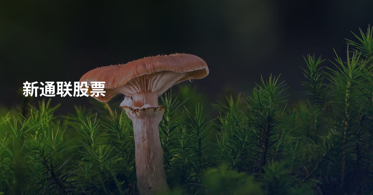 新通联股票