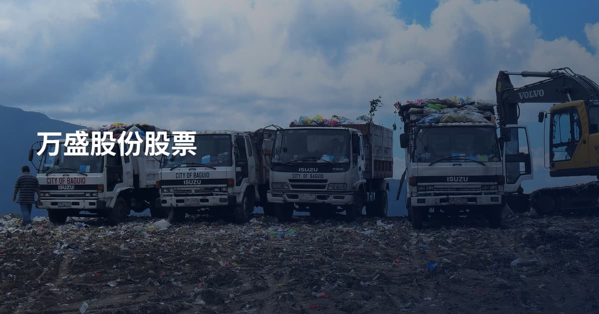 万盛股份股票