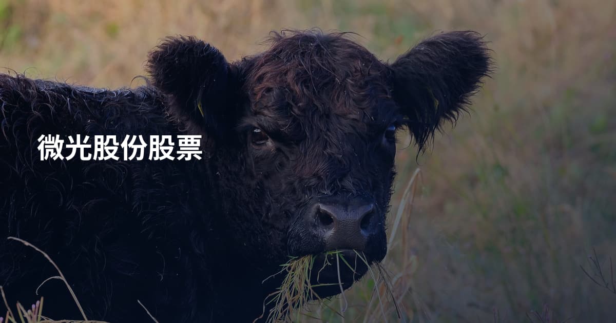 微光股份股票