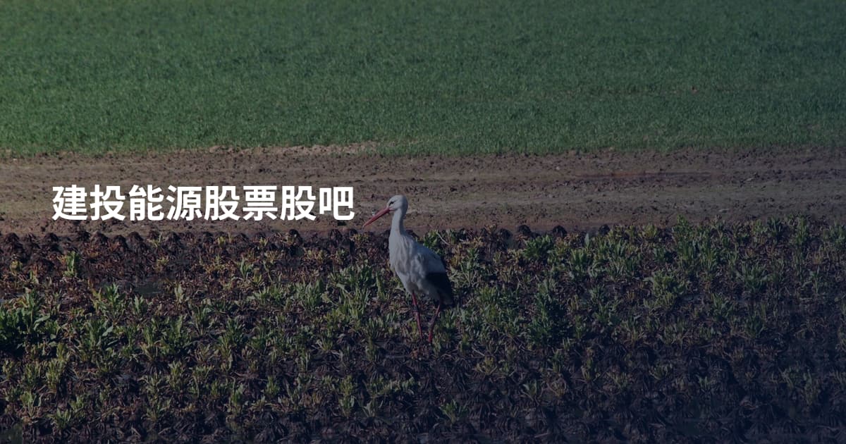建投能源股票股吧