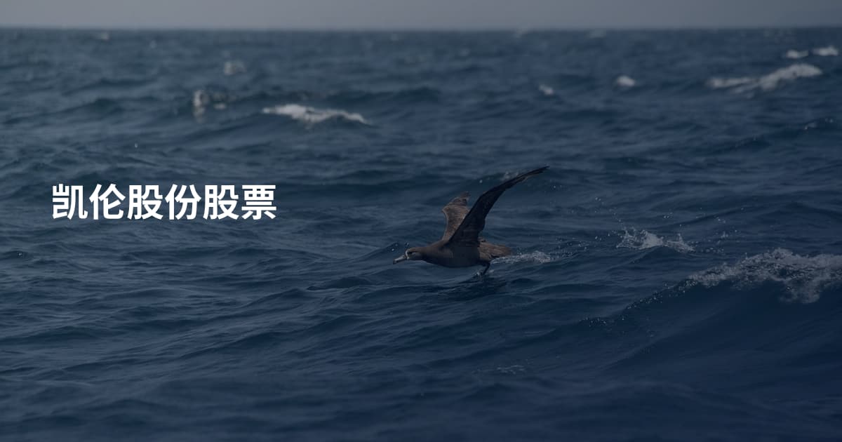 凯伦股份股票