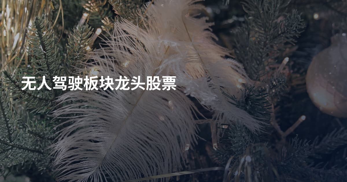 无人驾驶板块龙头股票