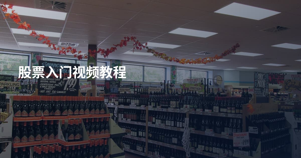股票入门视频教程