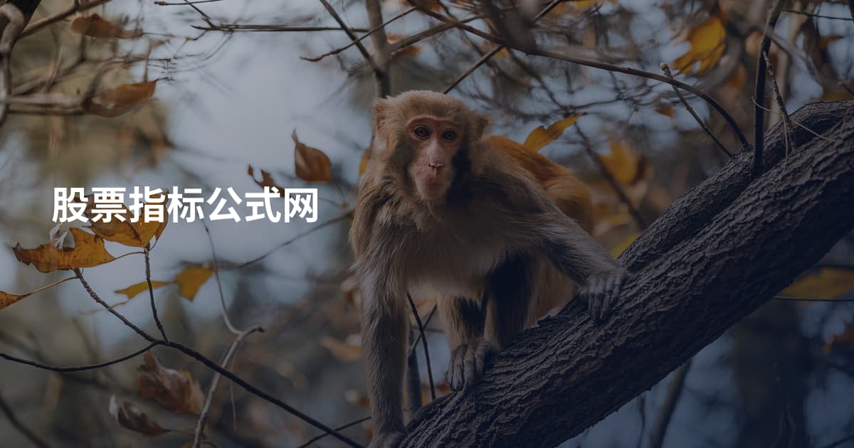 股票指标公式网