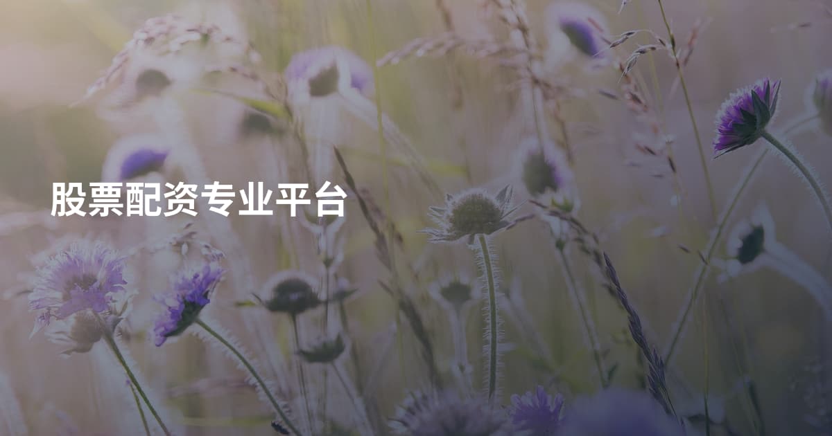 股票配资专业平台