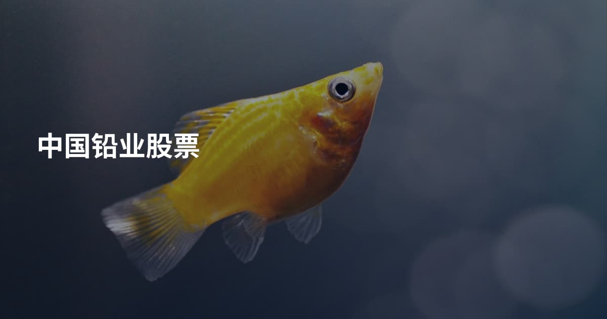 中国铅业股票