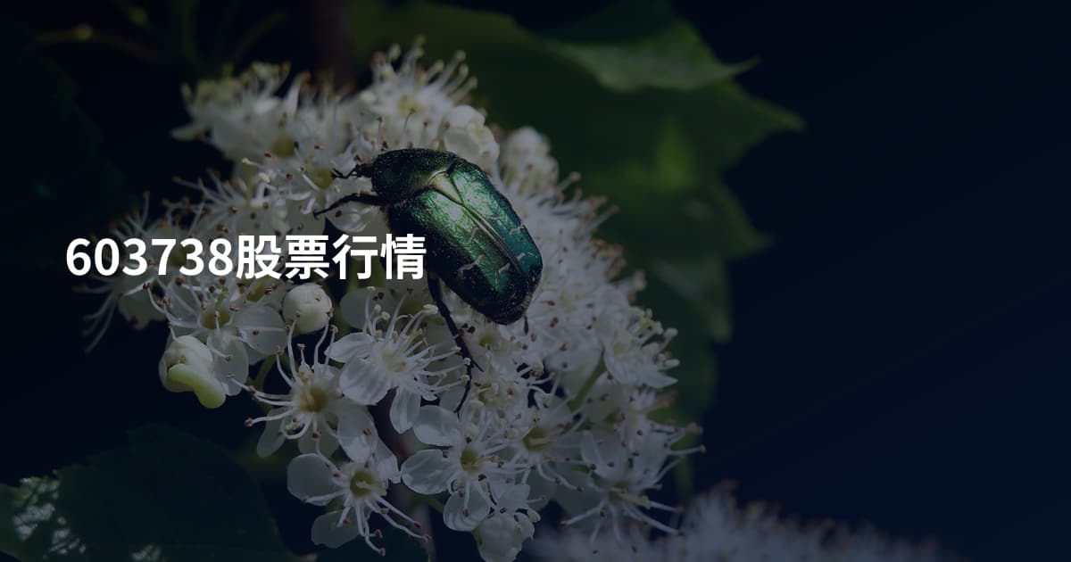 603738股票行情