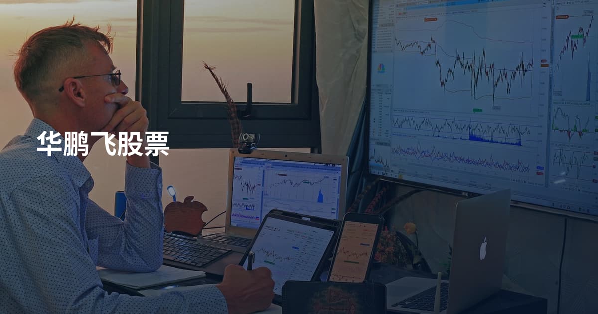 华鹏飞股票