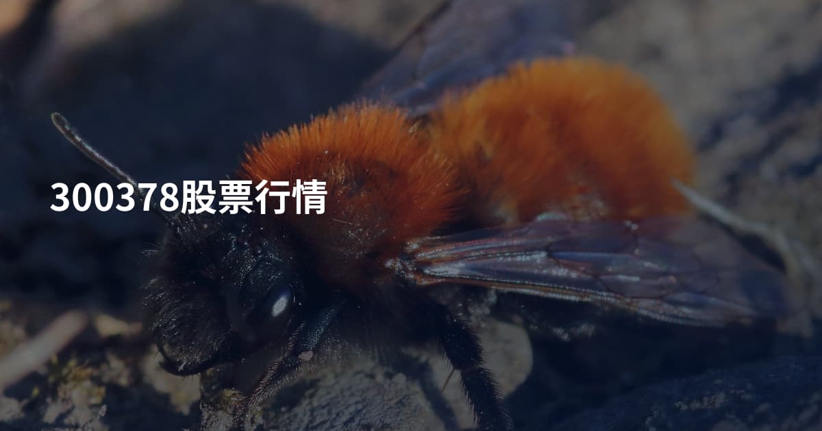 300378股票行情
