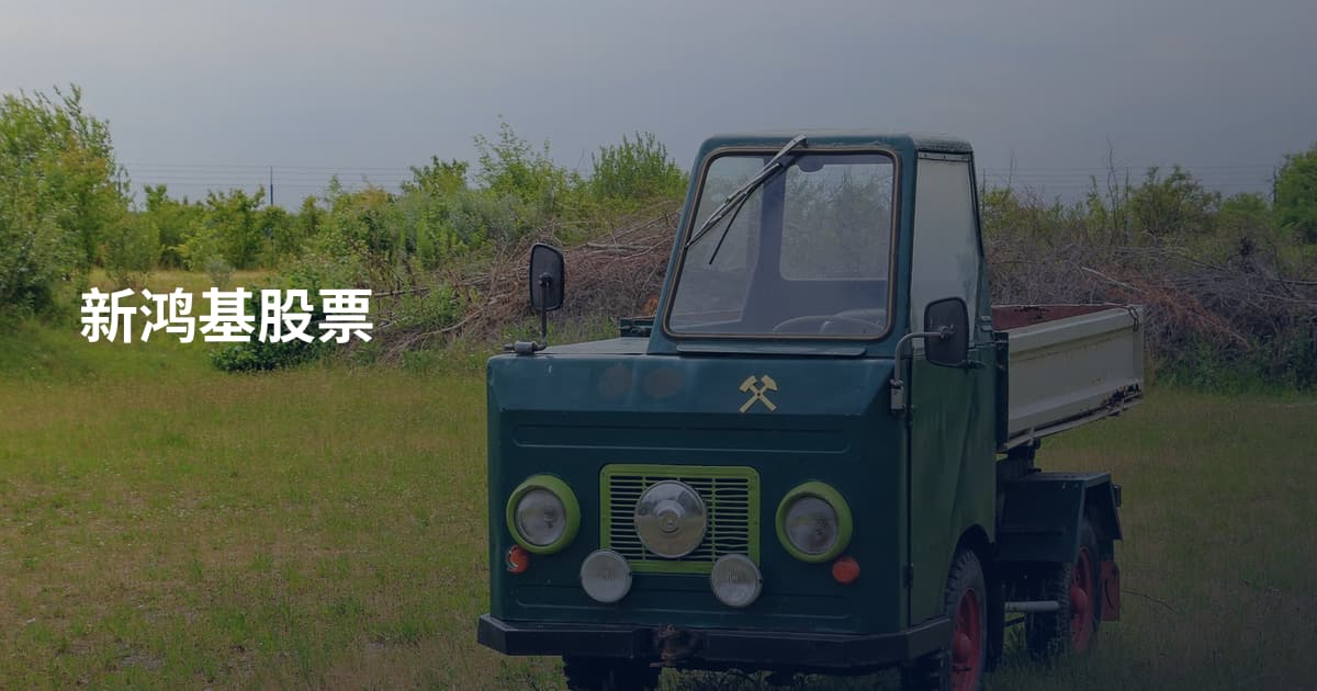 新鸿基股票