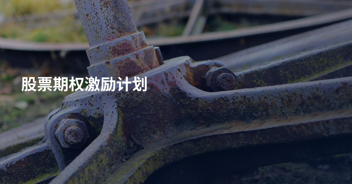股票期权激励计划