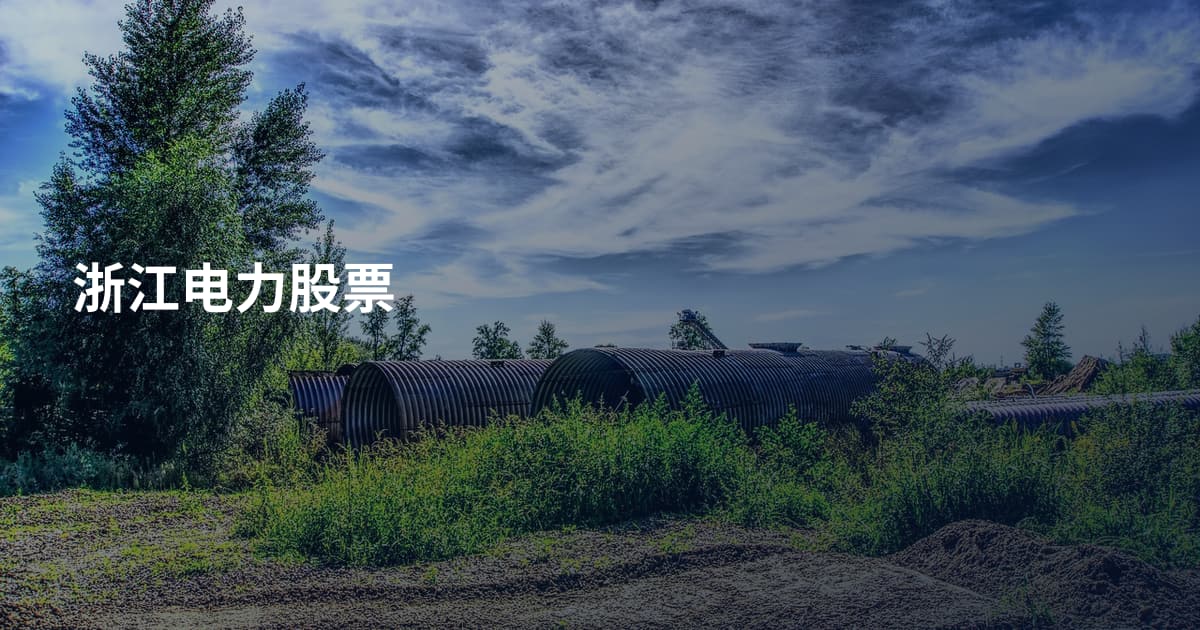 浙江电力股票