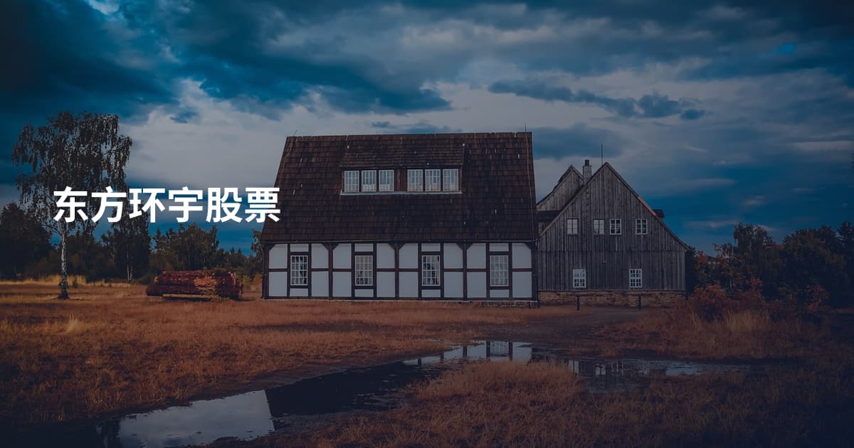 东方环宇股票