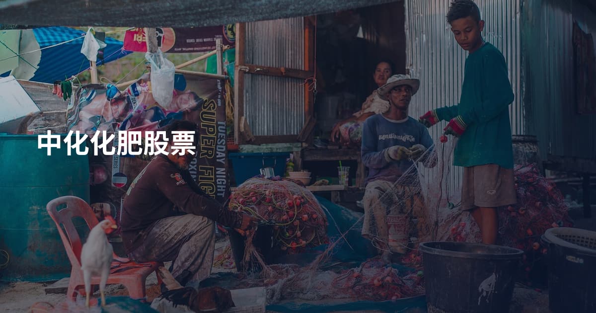 中化化肥股票