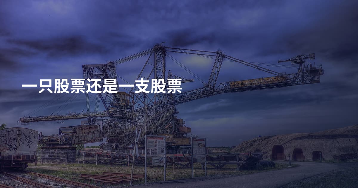 一只股票还是一支股票