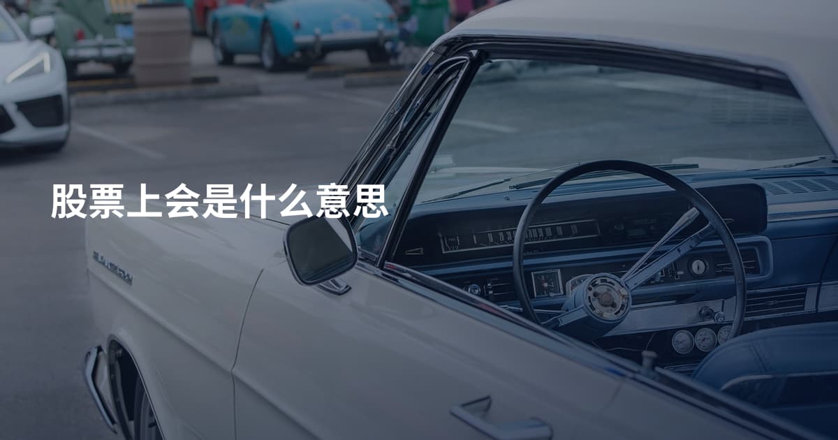 股票上会是什么意思