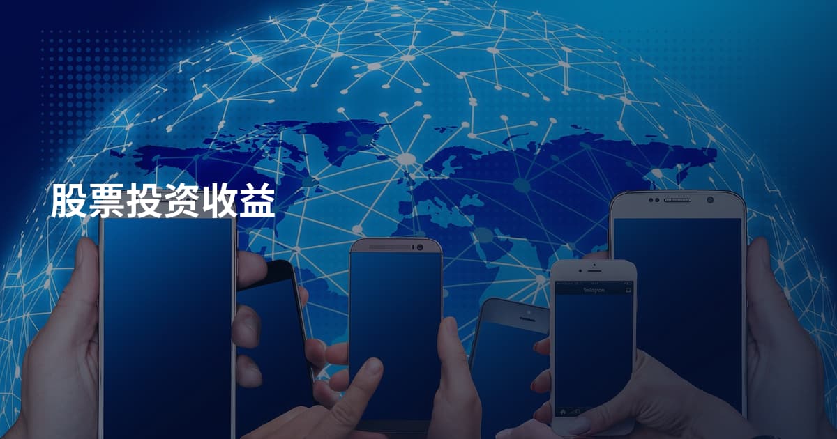 股票投资收益