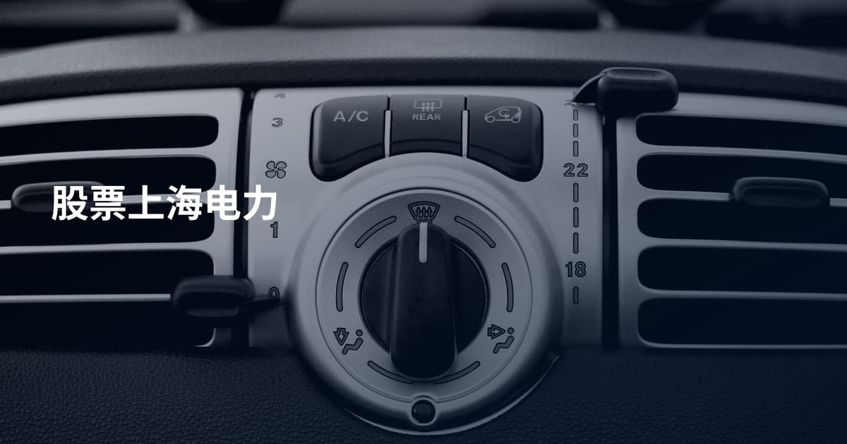 股票上海电力