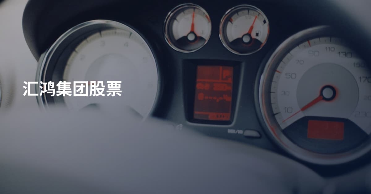 汇鸿集团股票
