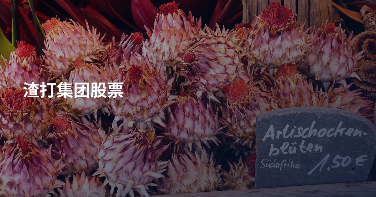 渣打集团股票