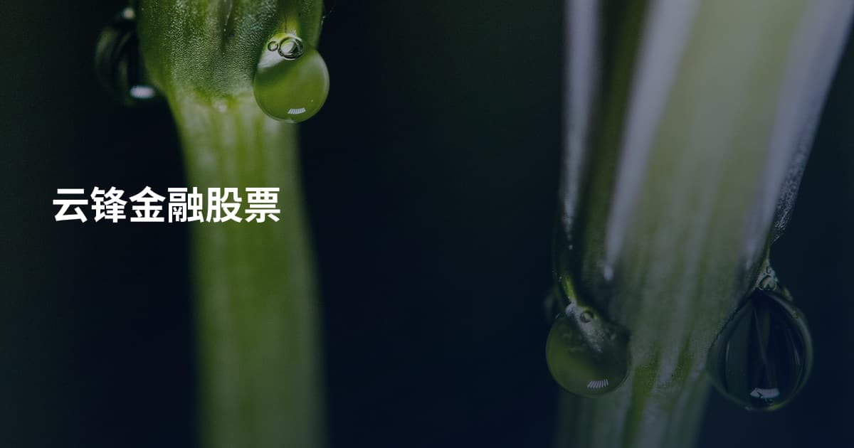 云锋金融股票