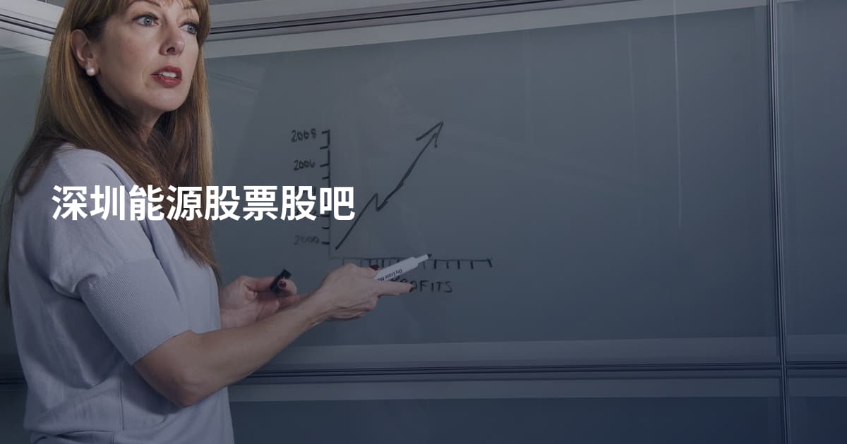 深圳能源股票股吧