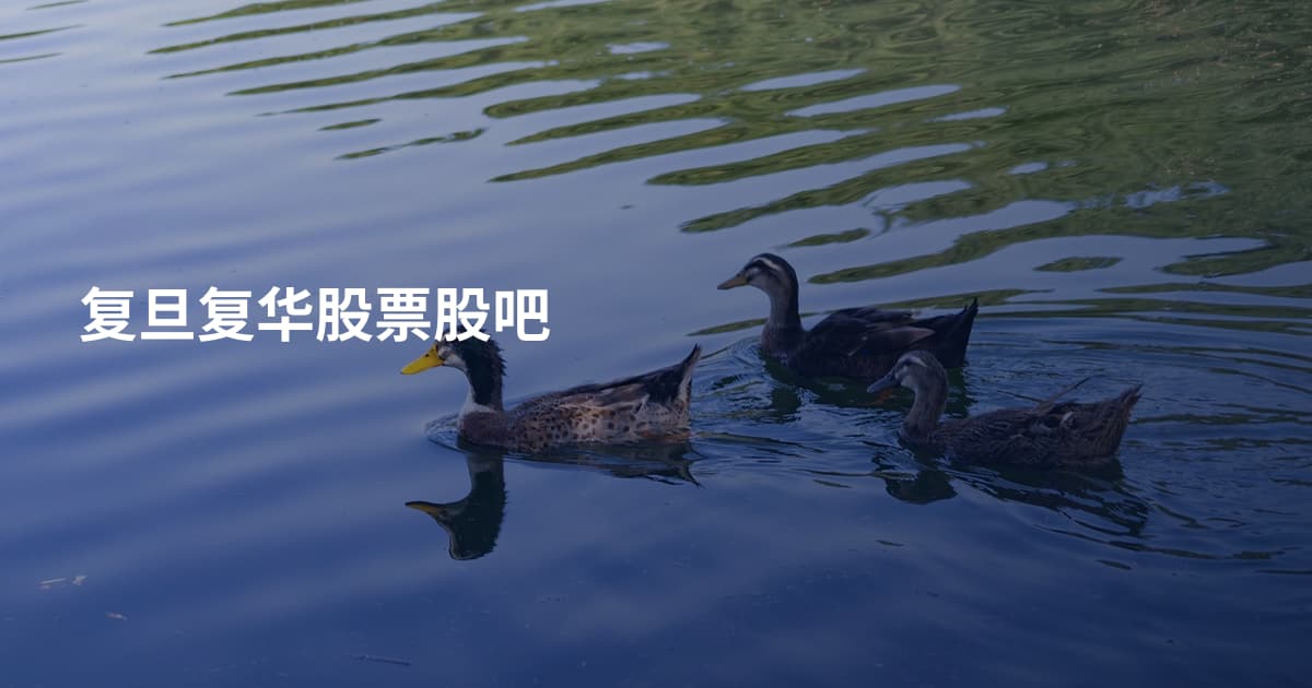 复旦复华股票股吧