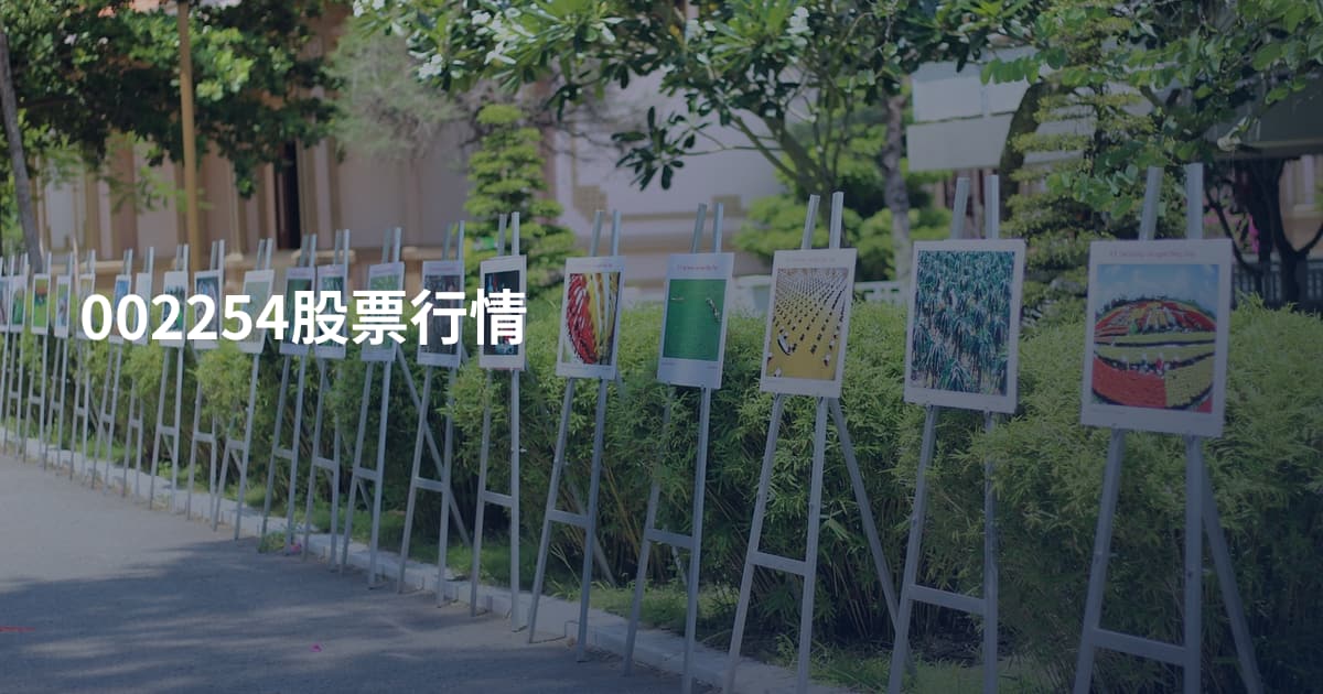 002254股票行情