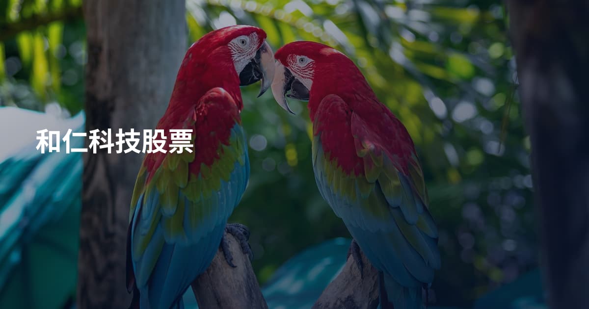 和仁科技股票