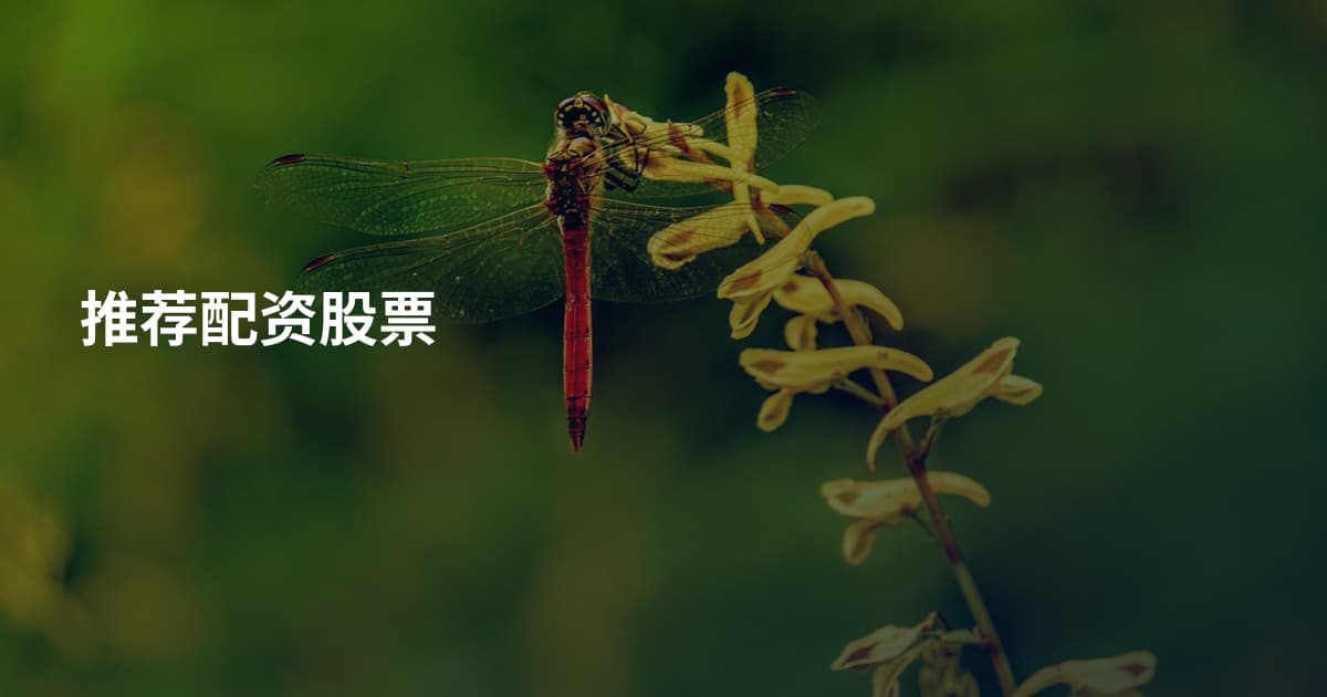 推荐配资股票