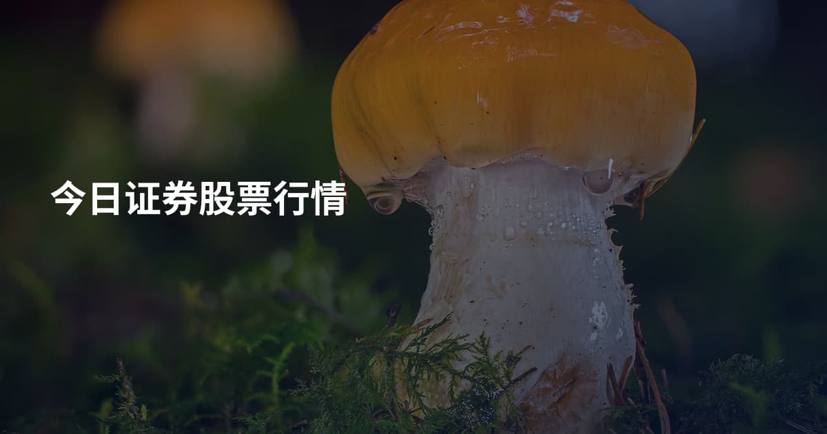 今日证券股票行情