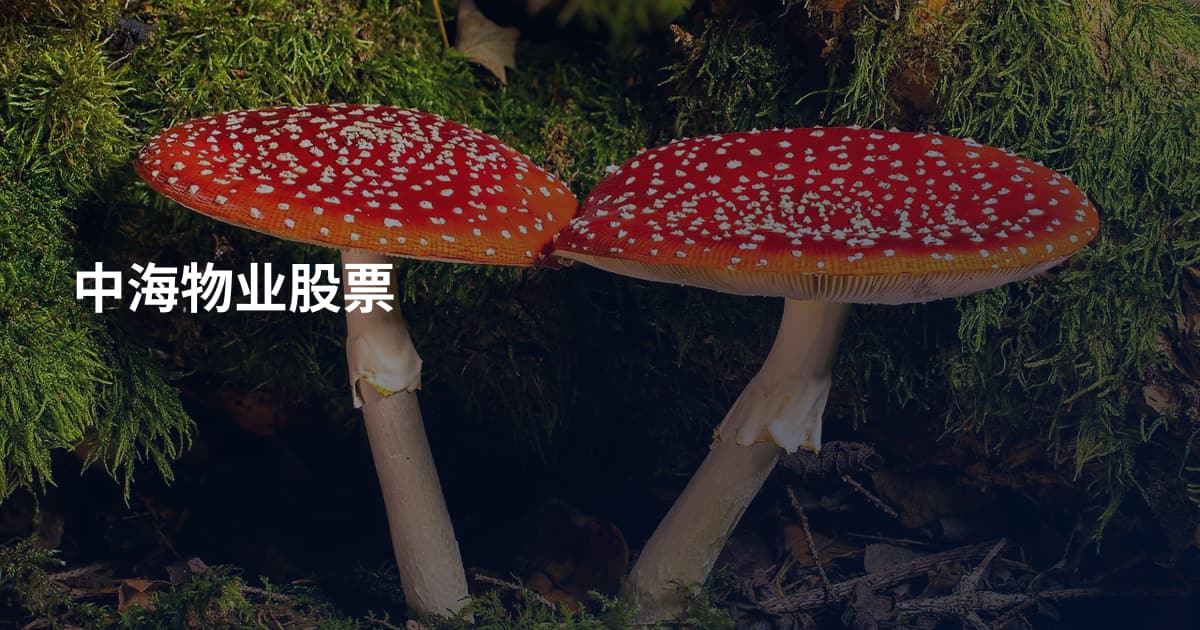 中海物业股票