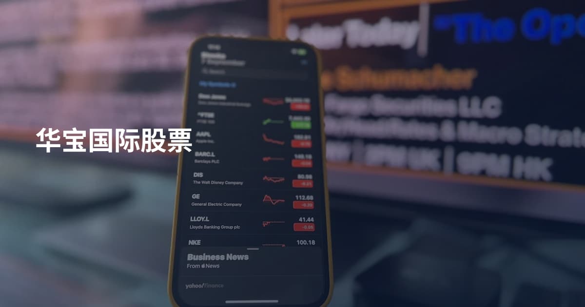 华宝国际股票