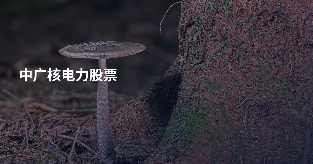 中广核电力股票