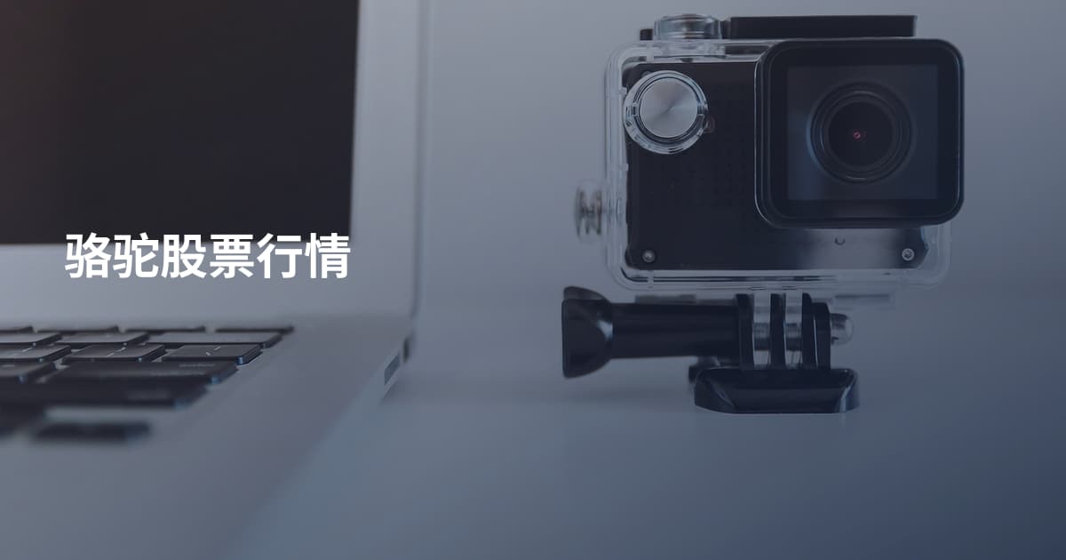 骆驼股票行情