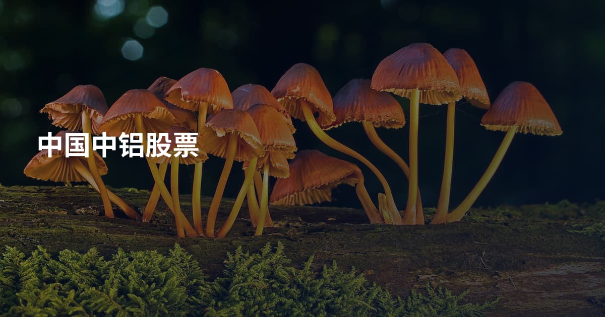 中国中铝股票