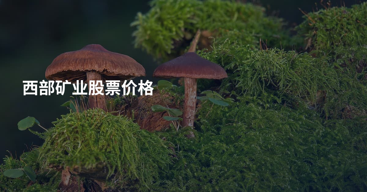 西部矿业股票价格